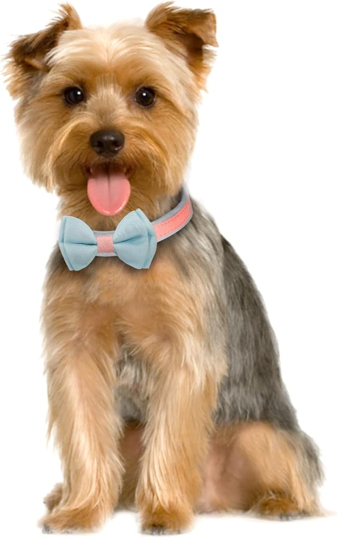 Dog Collar,Metal Buckle Pet Collar Suede Dog Collar Soft&Comfy Adjustable Pet Gift Collars with Bow for Small Medium Large Dogs (Large, Pink&Blue)