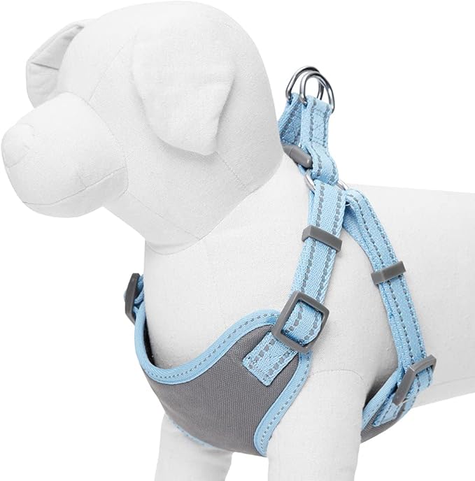 Blueberry Pet Essentials Pastel Color Reflective Dog Harness Vest, Chest Girth 17.5" - 21", Baby Blue, Small, Adjustable Harnesses for Dogs