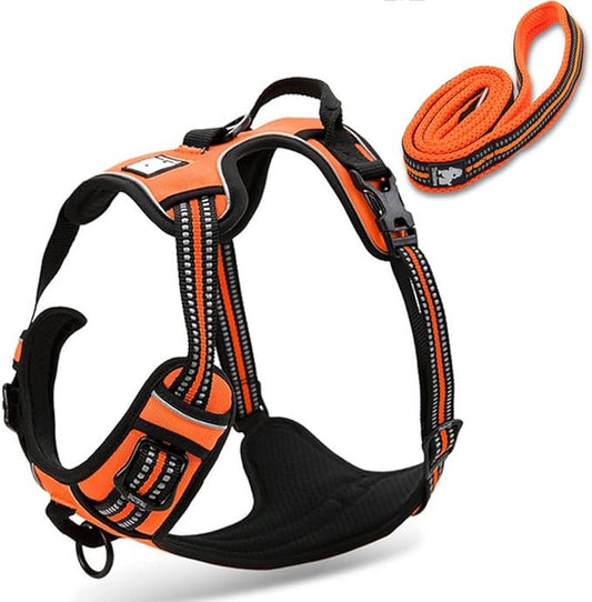 Reflective Nylon No-Pull Dog Harness and Training Leash Set Padded Durable Adjustable(L, Orange Set)