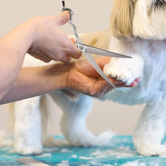 PURPLEBIRD 6.5 Inch Downward Curved Dog Grooming Scissors Pet Cutting Shears Professional Safety Blunt Tip Trimming Shearing for Dog Cat Face Paw Limb Japanese Stainless Steel Silver