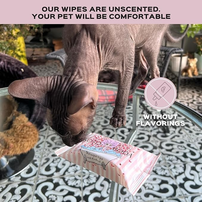 Wet Wipes with Panthenol for Sphynx and Shorthair Cats for Everyday use (5Pack/75Count)