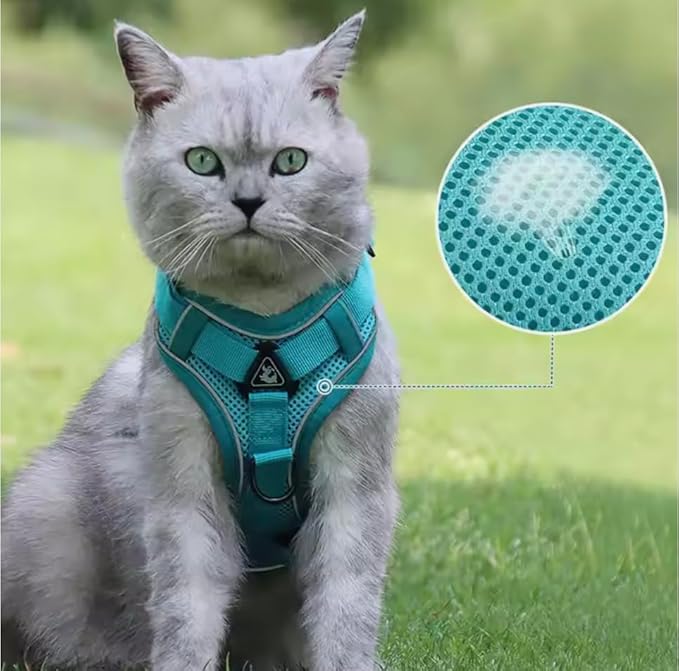 No-Pull Dog Harness, Reflective Adjustable Dog Vest Harness, Escape Proof, for Small Medium Large Dogs and Cats - Adjustable Buckle Pet Vest, Solid, S-XL, with Matching Leash (Brown, Small)