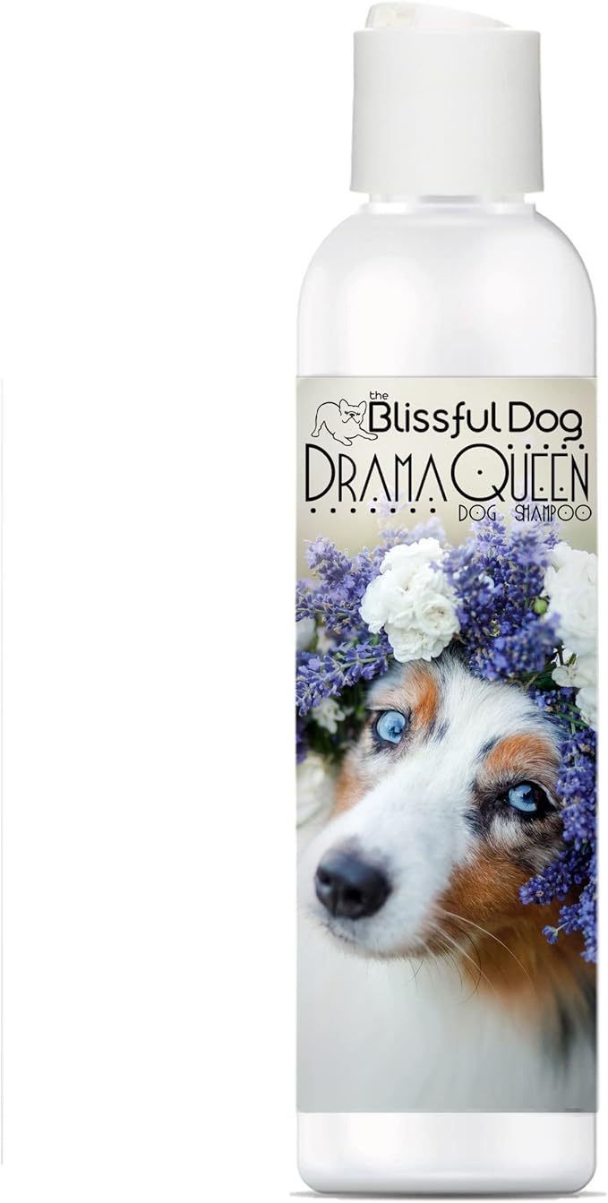 The Blissful Dog Australian Shepherd Drama Queen Shampoo, 16 oz.