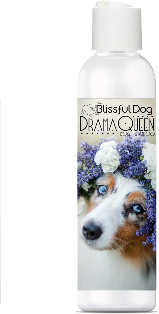The Blissful Dog Australian Shepherd Drama Queen Shampoo, 16 oz.