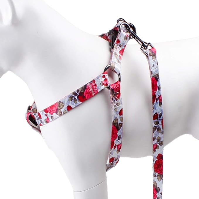 QQPETS Dog Harness Leash Set Adjustable Heavy Duty No Pull Halter Harnesses for Small Medium Large Breed Dogs Back Clip Anti-Twist Perfect for Walking (M(19"-26" Chest Girth), Rose)