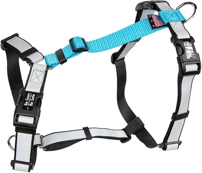 No Pull Harness with Fully Customizable Fitment for XL Dogs - 3M Reflective Heavy Duty Harness for Walking & Training - No Choke Comfortable Collar Design, Made in USA XL-Sky Blue