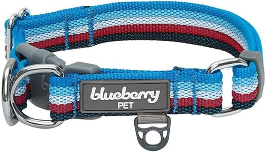 Blueberry Pet 3M Reflective Dog Collars | Adjustable Dog Collar w/Multi-Colored Stripe - Azure Blue and Raspberry Red | Nylon Pet Collars for Dogs & Refflective Dog Collar for Large Dogs