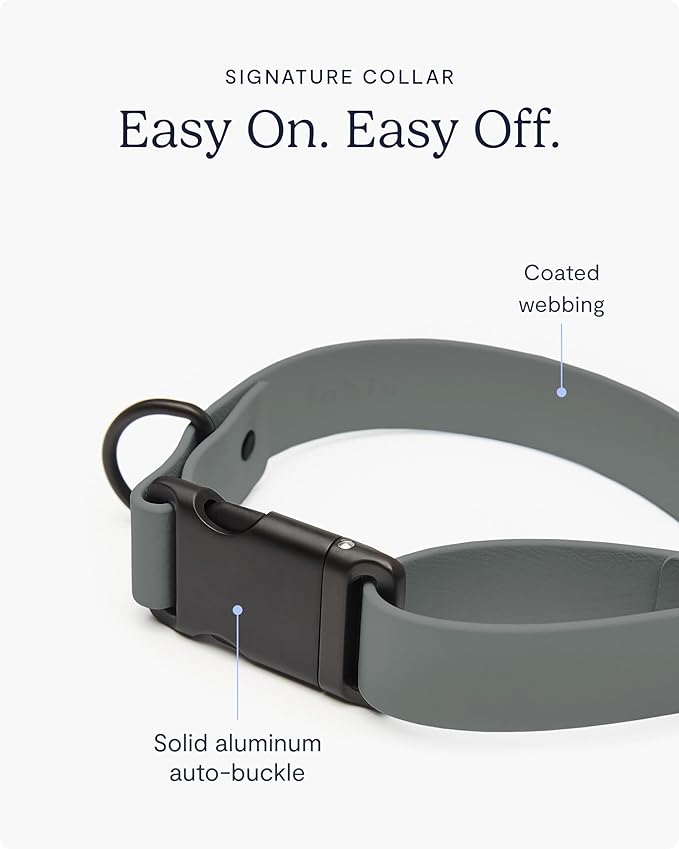 FABLE Signature Collar - Lightweight, Waterproof, & Durable Dog Collar - Coated Webbing Collar with Aluminum Buckle - Easy On/Off & Re-Sizing - Easy to Clean - Slate - Small