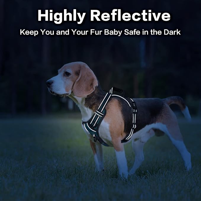 PoyPet No Pull Dog Harness, No Choke Front Clip Reflective Dog Vest with Soft Padded Vertical Handle, 3 Leash Attachments for Small Medium Large Dogs (Tumalo Teal,L)