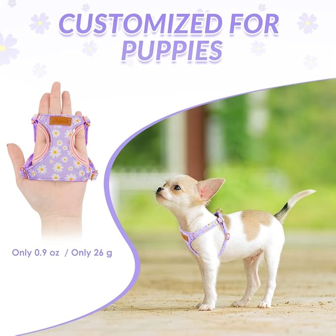 SlowTon No Pull Dog Harness with Leash - Soft Lightweight Floral Pattern Puppy Harness, Adjustable Pet Harness for Small Medium Dogs Doggie (Purple S)
