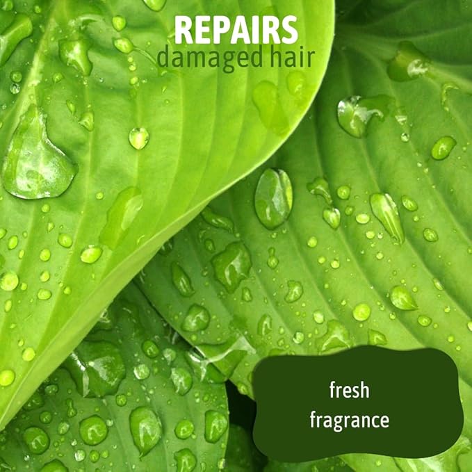 2 in 1 Dog Shampoo and Conditioner for Pets, Gallon - Naturally Derived Ingredients, Eliminates Smelly Pet Odors, Moisturizes and Nourishes, Cleans and Conditions, Bulk Refill Size 128 oz