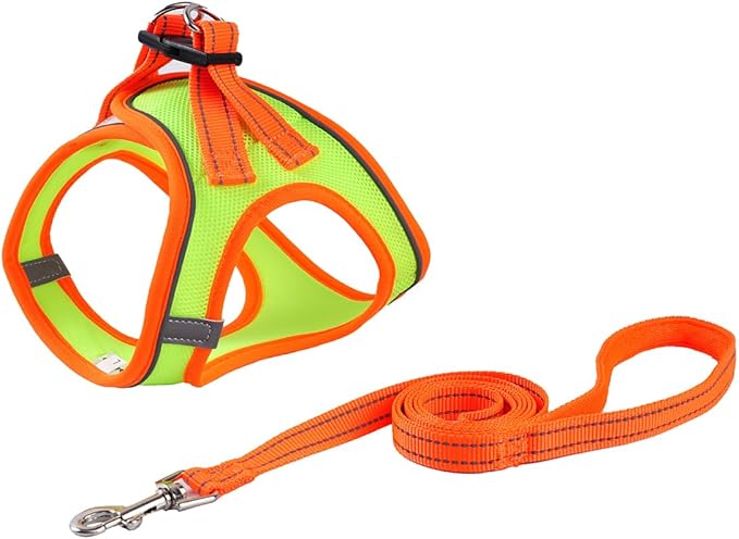 Soft Mesh Dog Harness and Leash Set, No-Chock Step-in Reflective Breathable Lightweight Easy Walk Escape Proof Vest Harnesses with Safety Buckle for Small Medium Dogs, Cats (Green, Large)