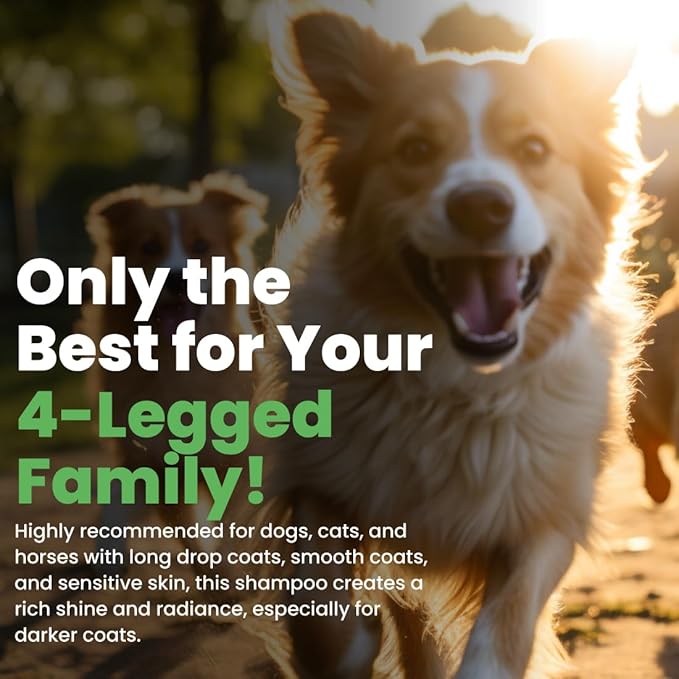 Best Shot Lemon-Aid Oatmeal Wash, Pet Shampoo for Dogs, Cats, and Horses, Ideal Pet Grooming Supplies, 16 Oz.