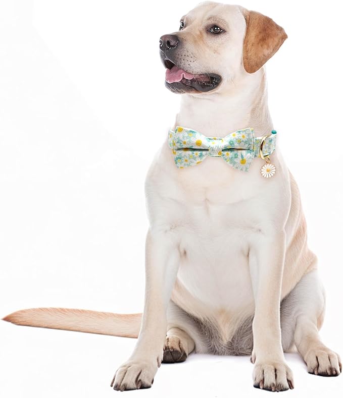 Fashionable Dog Collar with Bow Tie for Small Medium Large Dogs,Cute and Soft Puppy Collar for Male Female Dogs, Durable Cotton Dog Collar with Adjustable Buckle Butterfly Pattern (Medium, Cyan Daisy)