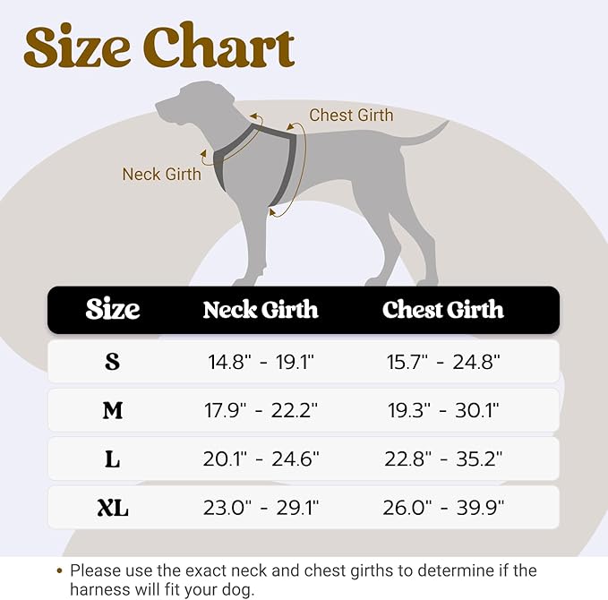 rabbitgoo Dog Harness Small Sized Dog, No Pull Pet Harness with Soft Padded Handle, Adjustable Reflective Vest with 3 Buckles, Easy Walking Harness with 2 Leash Clips, Black, S