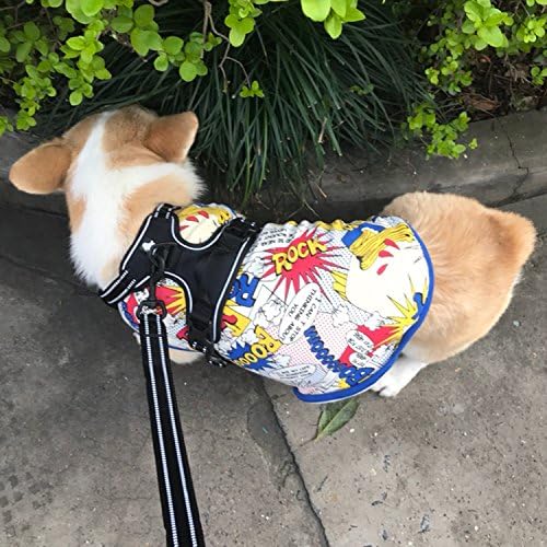 Reflective Nylon No-Pull Dog Harness and Training Leash Set Padded Durable Adjustable(XL, Black Set)