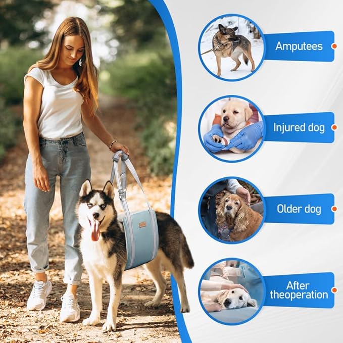 Dog Lift Harness for Medium Dogs, Adjustable Dog Sling for Back Legs, Hip Support Harness to Help Lift Dogs Rear for Canine Aid and Old K9 Cruciate Ligament Rehabilitation - Medium, Grey