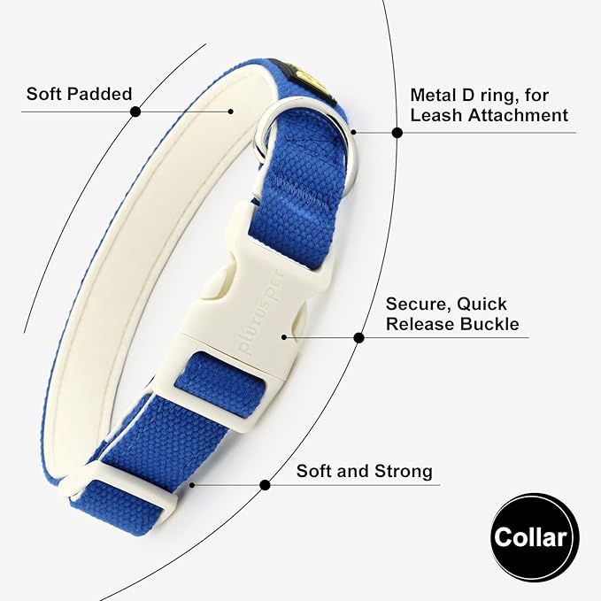 Plutus Pet Cotton Dog Collar, Heavy Duty Collar with Soft Padding, Adjustable and Comfortable for Small Medium and Large Dogs, Royal Blue, S