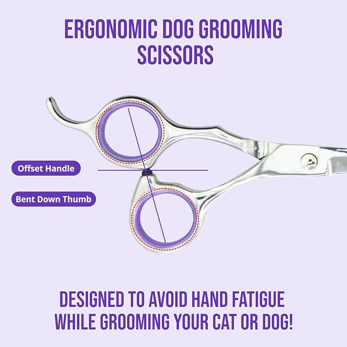 Grooming Scissors, Stainless Steel Dog Shears with Safety Rounded Tip, Set of Two Dog Scissors in a Leather Cover, Professional Pet Grooming Kit