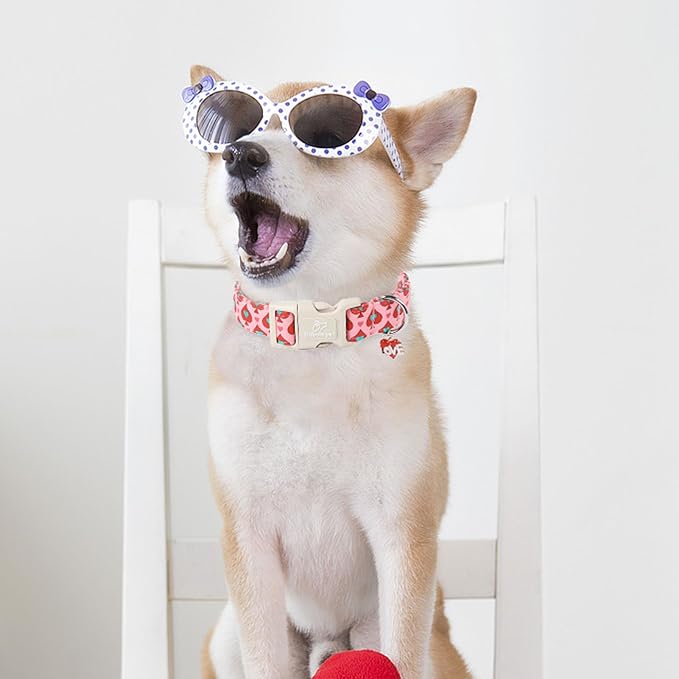 Valentine's Day Dog Collar - Cute Pink Valentines Dog Collar Girl Boy Durable Adjustable Spade Heart Pattern Charm Dog Collars for Small Medium Large Dogs L