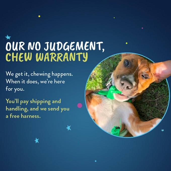 2 Hounds Design Freedom No Pull Dog Harness | Comfortable Control for Easy Walking |Adjustable Dog Harness and Leash Set | Small, Medium & Large Dogs | Made in USA | Solid Colors | 1" XL Royal Blue