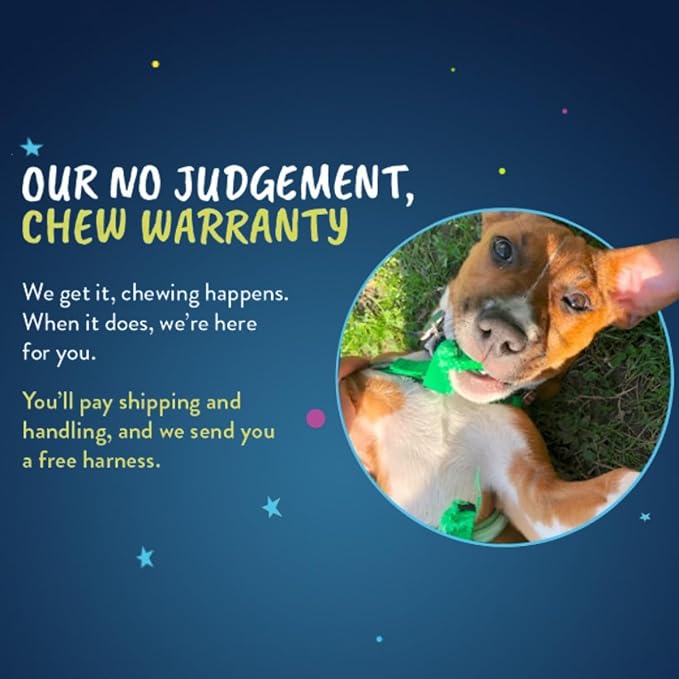 2 Hounds Design Freedom No Pull Dog Harness | Comfortable Control for Easy Walking |Adjustable Dog Harness and Leash Set | Small, Medium & Large Dogs | Made in USA | Solid Colors | 5/8" MD Teal