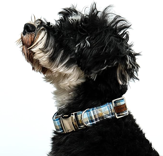 Lionet Paws Boy Dog Collar, Comfortable Adjustable Cute Blue Plaid Collar with Metal Buckle for Male Dogs Gift, Medium, Neck 13.5-22 inches
