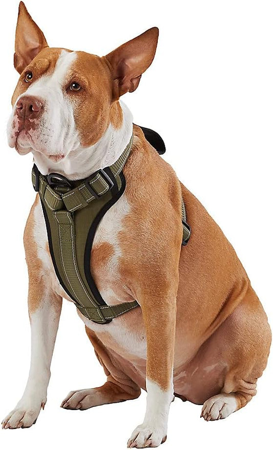 KONG Max Ultra Durable Neoprene Padded Chest Plate Dog Harness Offered by The Barker Company (Green, XL)