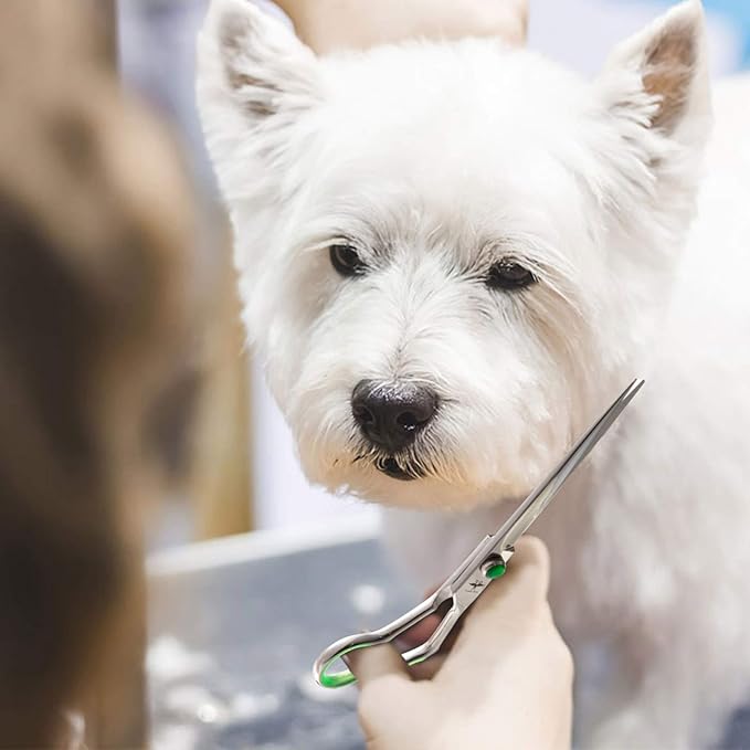 PURPLEBIRD 7 Inch Straight Dog Grooming Scissors Professional Pet Cutting Shears Safety Noiseless Blunt Tip Trimming Shearing for Dogs Cats Japanese Stainless Steel Silver