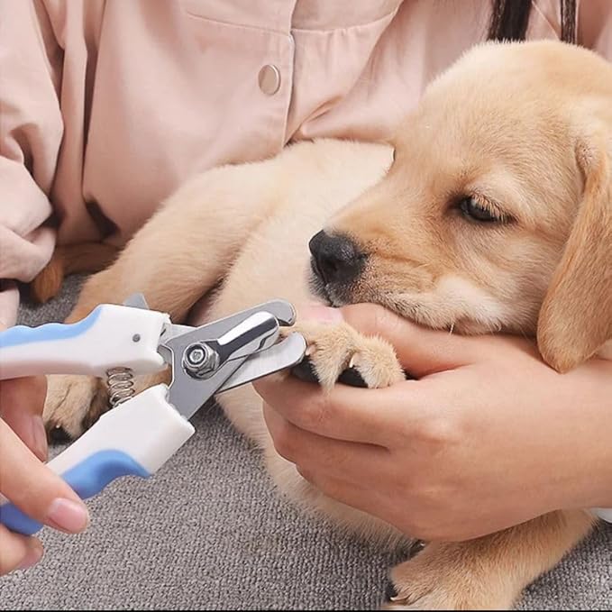 Dog Nail Trimmers and Cat Nail Clipper Set - Professional Dog Nail Clippers for Small Breeds, Heavy Duty Pet Trimmers, Safe Cat Claw Clippers, Ideal for Cats, Dogs, Puppies, (Black/Light Blue)