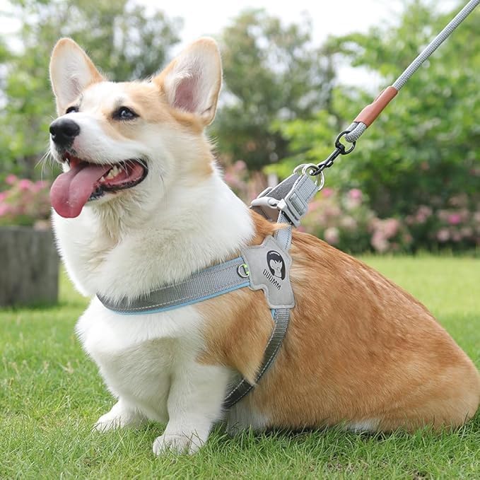 Pet Dog Cat Harness, Pet Harness with Leash Set, Adjustable Puppy Harness Comfortable Reflective Easy Control Dog with Leather Leash, No-Pull No Choke Pet Harness for Training Walking