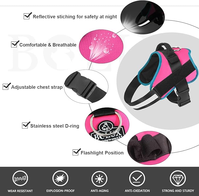 Bolux Dog Harness, No-Pull Reflective Dog Vest, Breathable Adjustable Pet Harness with Handle for Outdoor Walking - No More Pulling, Tugging or Choking X-Small (Pack of 1) RoseTurquoise