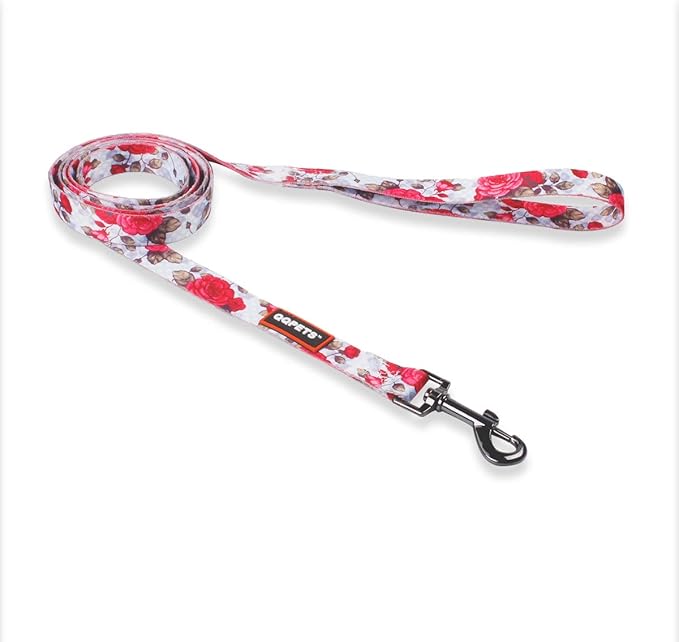 QQPETS Dog Harness Leash Set Adjustable Heavy Duty No Pull Halter Harnesses for Small Medium Large Breed Dogs Back Clip Anti-Twist Perfect for Walking (M(19"-26" Chest Girth), Rose)