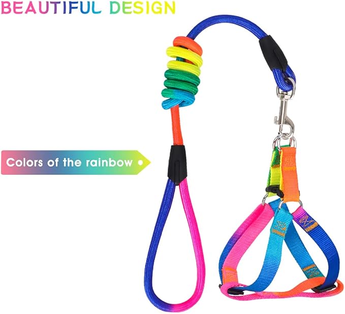 PetsHome Dog Harness & Leash Set Adjustable No Pull Safe Nylon Pet Harness with Leash for Outdoor Walking for Dogs Medium Rainbow
