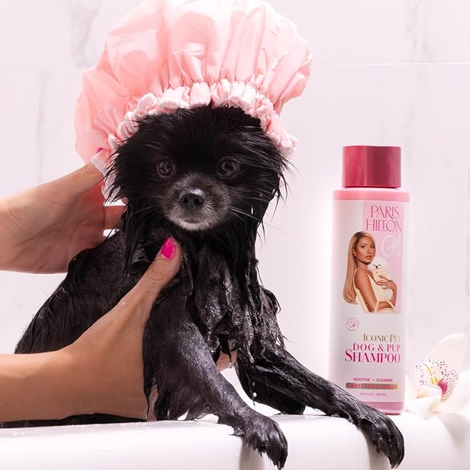 Paris Hilton Dog Shampoo - Sweet Pea & Vanilla Fresh Scent, Sulfate-Free Vegan & Hypoallergenic for All Dog Breeds, with Oatmeal & Aloe for Healthy Coats, Reduced Shed & Show-Ready Grooming 16oz/480ml