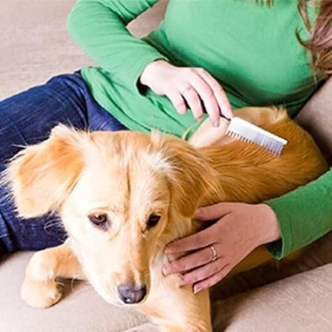 Vet's Best Waterless Dog Bath | No Rinse Dry Shampoo for Dogs | Natural Formula Refreshes Coat and Controls Odor Between Baths | 5 Ounces,White/Tans