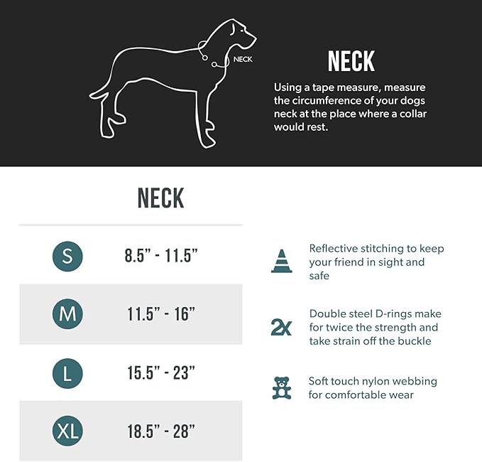 EzyDog Double Up Premium Nylon Dog Collar with Reflective Stitching - Double D-Rings for Superior Strength, Safety, and Comfortability - Non-Rusting and Includes an ID Attachment (Medium, Black)