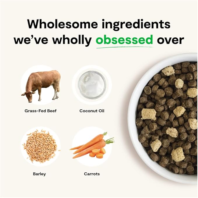 Open Farm RawMix Ancient Grains Front Range Recipe for Dogs, Includes Kibble, Bone Broth, and Freeze Dried Raw, Inspired by The Wild, Humanely Raised Protein and Non-GMO Fruits and Veggies, 20 lb