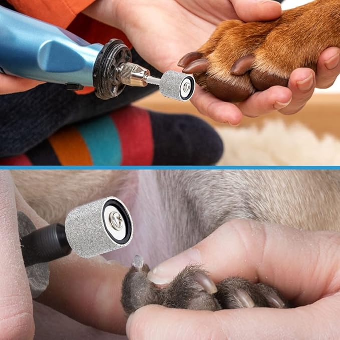 120&80 Grit Diamond Bit for Dog Nails Grinder Including 2pcs 1/2" Mandrel - Pet Nail Grinder Diamond Wheel (Finishing #120 Coarse #80)
