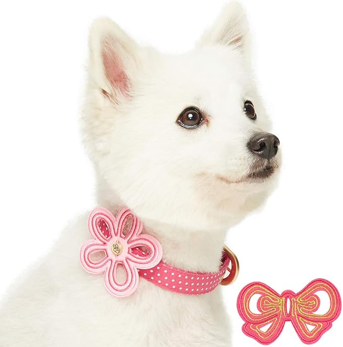 Blueberry Pet 2 Patterns Adjustable Dog Collar with Metal Buckle and 2 Detachable Bowtie - Pink Polka Dot, Neck 13-16.5", for Medium Breed