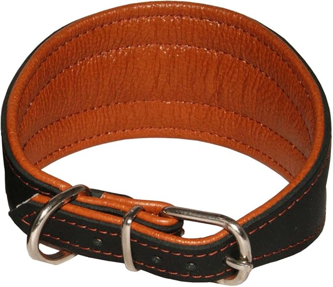 Real Leather Extra Wide Padded Tapered Dog Collar Glossy Black Greyhound Saluki Deerhound Lurcher Whippet Dachshund