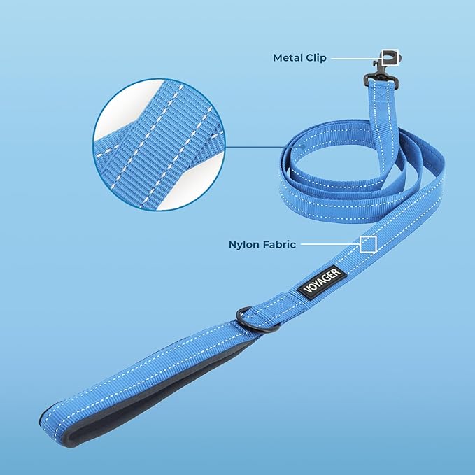 Voyager Reflective Dog Leash with Neoprene Handle, 6ft Long, Supports Small, Medium, and Large Breed Puppies, Cute and Heavy Duty for Walking, Running, and Training - Baby Blue, L