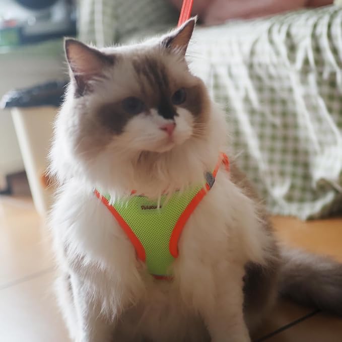 Soft Mesh Dog Harness and Leash Set, No-Chock Step-in Reflective Breathable Lightweight Easy Walk Escape Proof Vest Harnesses with Safety Buckle for Small Medium Dogs, Cats (Purple, Large)