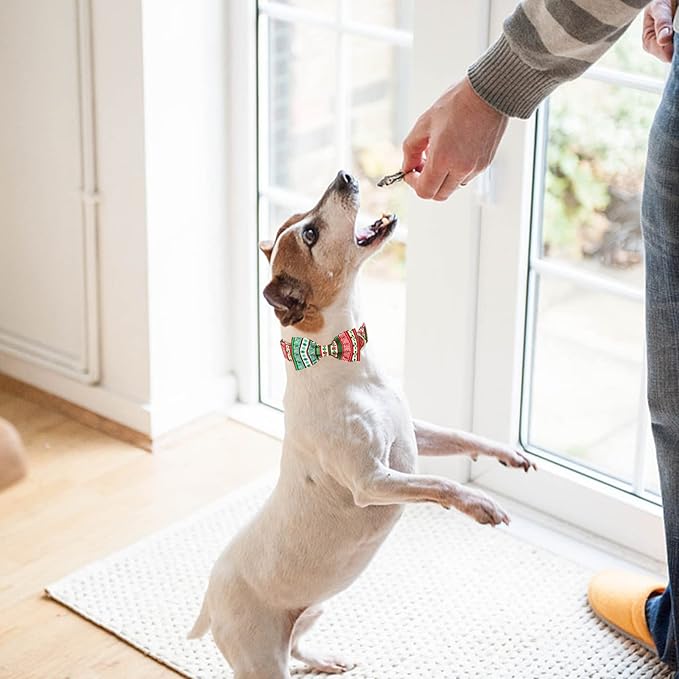 MR. CHUBBYFACE Christmas Plaid Dog Collar for Boy Girl Dogs Adjustable Red Green Dog Collar Bowtie for Small Medium Large Dogs