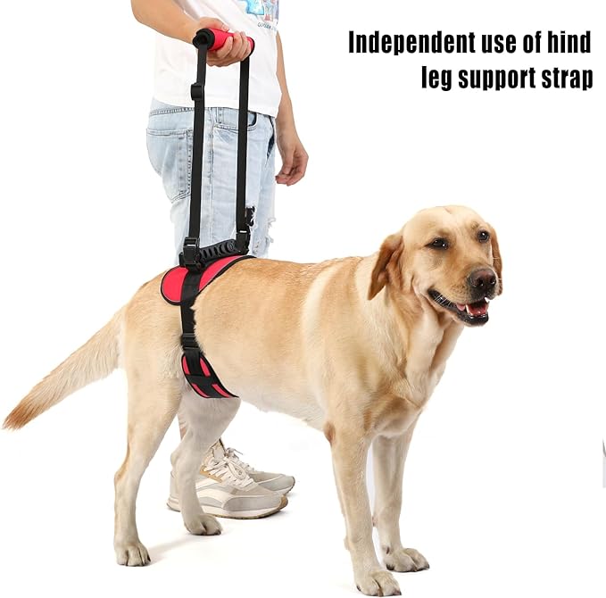 NOYAL Dog Lift Harness Pet Support Rehabilitation Sling Lift Front-Only, Rear-Only or Full-Body for Old, Disabled, Joint Injuries, Arthritis, Loss of Stability Dogs