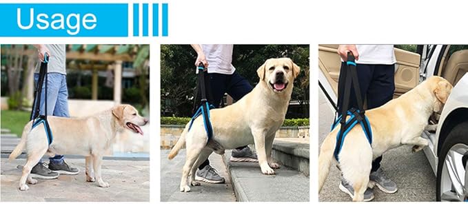 Adjustable Pet Dogs Lift Support Harness Breathable Mesh Padded Sling Straps Canine Support Rehabilitation for Injuries Arthritis Weak hind Legs & Joints, Blue (XL)