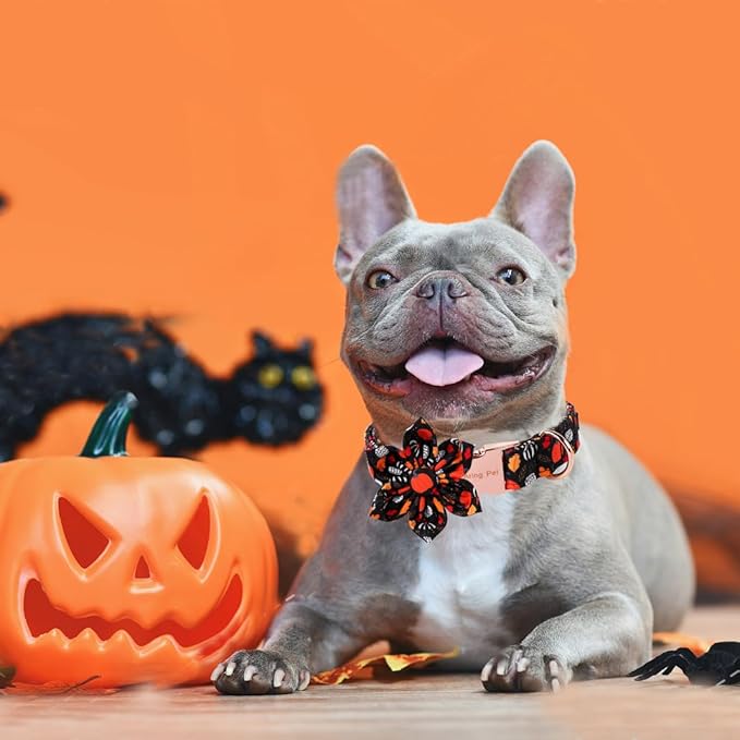 ARING PET Halloween Dog Collar-Cotton Black Pumpkin Dog Collar with Flower, Adjustable Fall Leaves Dog Collars Pet Necklace with Metal Buckle for Girl&Boy Dogs