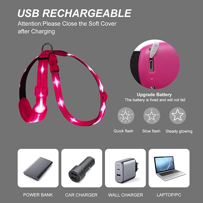 LED Light Up Dog Vest Harness Rechargeable, Soft Padded, Adjustable & Reflective Lighted Dog Harness Waterproof, Glow Dark Dog Light Harness for Camping Night Safety Walking, Medium Pink