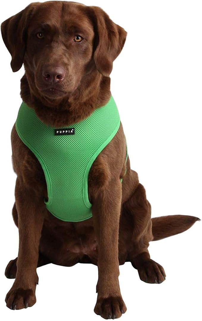 Puppia Soft Dog Harness No Choke Over-The-Head Triple Layered Breathable Mesh Adjustable Chest Belt and Quick-Release Buckle, Green, XX-Large