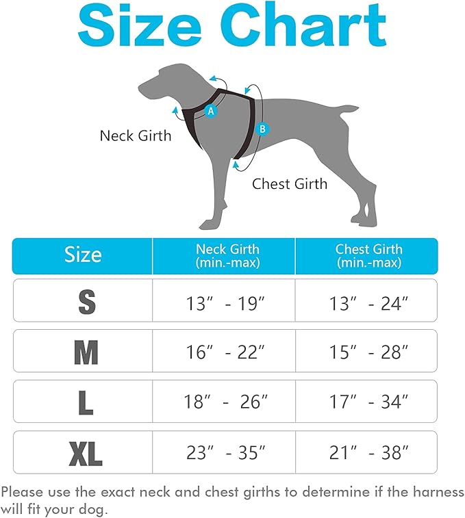 rabbitgoo Dog Harness, No-Pull Pet Harness with 2 Leash Clips, Adjustable Soft Padded Dog Vest, Reflective No-Choke Pet Oxford Vest with Easy Control Handle for Large Dogs, Blue, XL